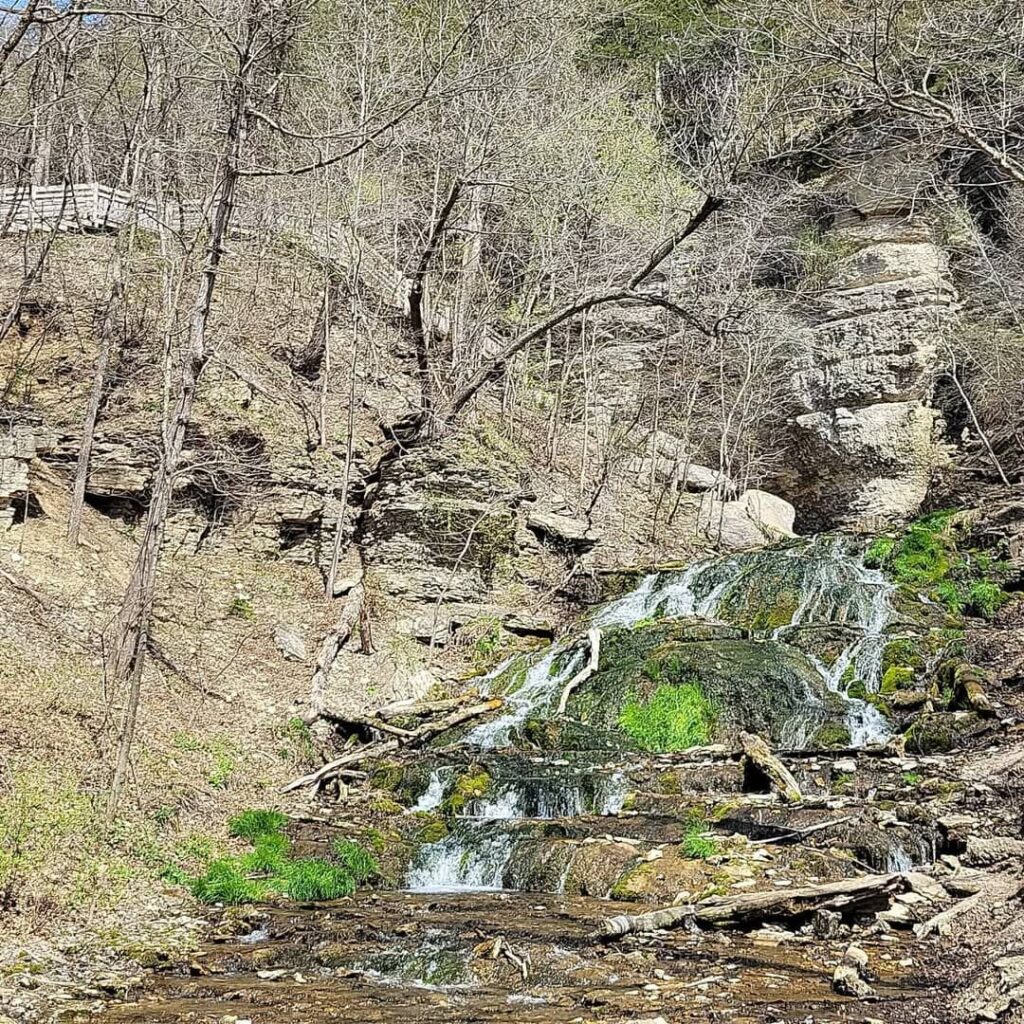 Dunning’s Spring Park