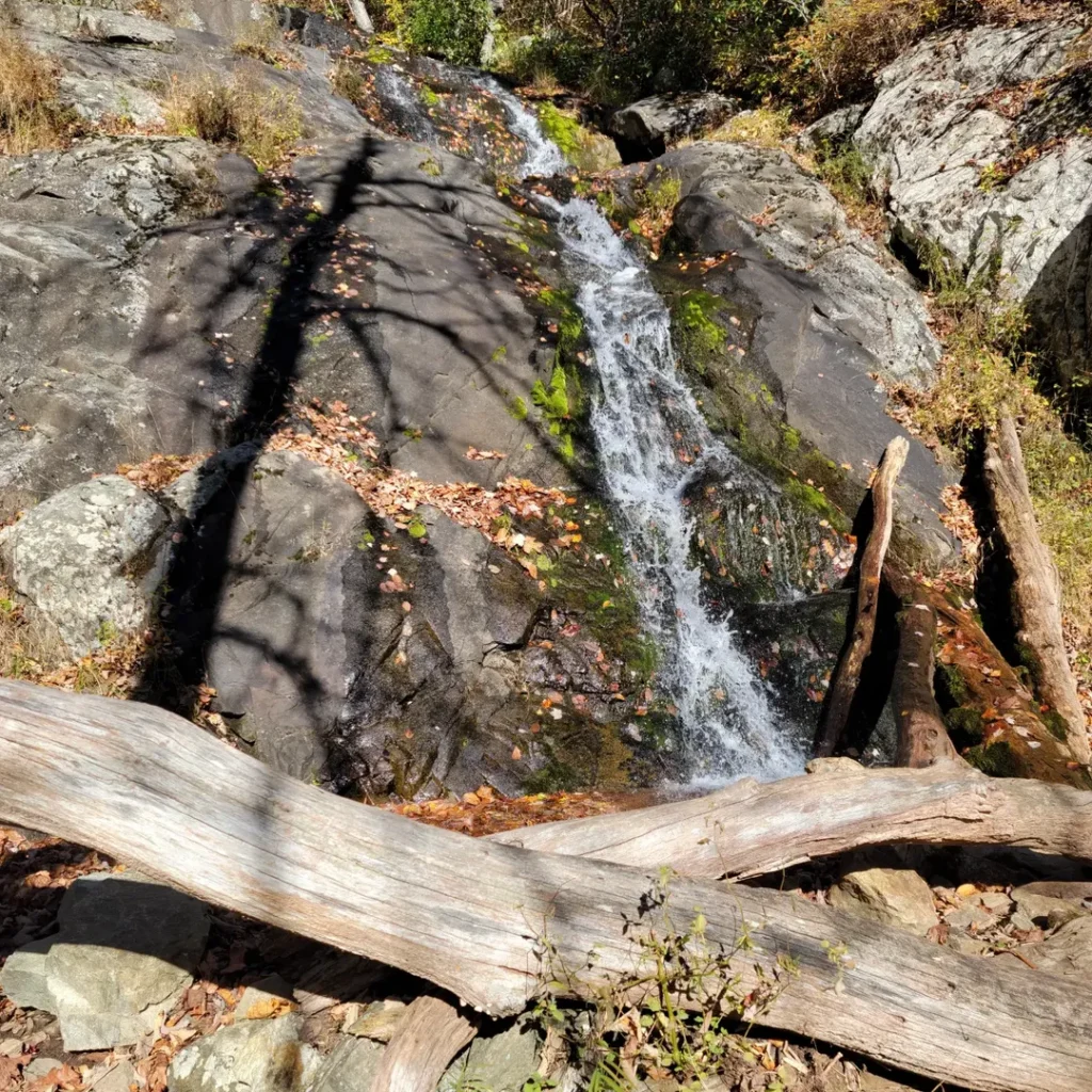 Fallingwater Cascades