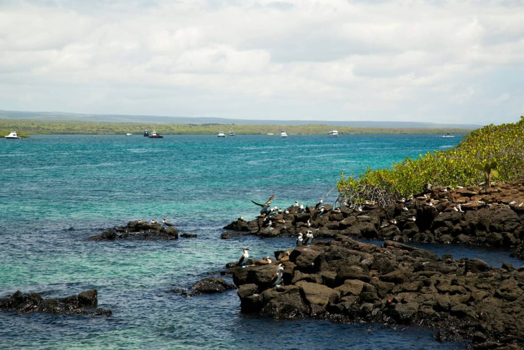 Galápagos Islands, Ecuador