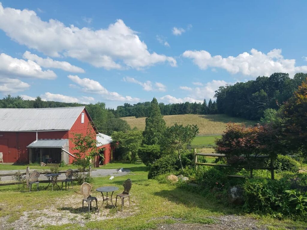 Galloping Goose Vineyards