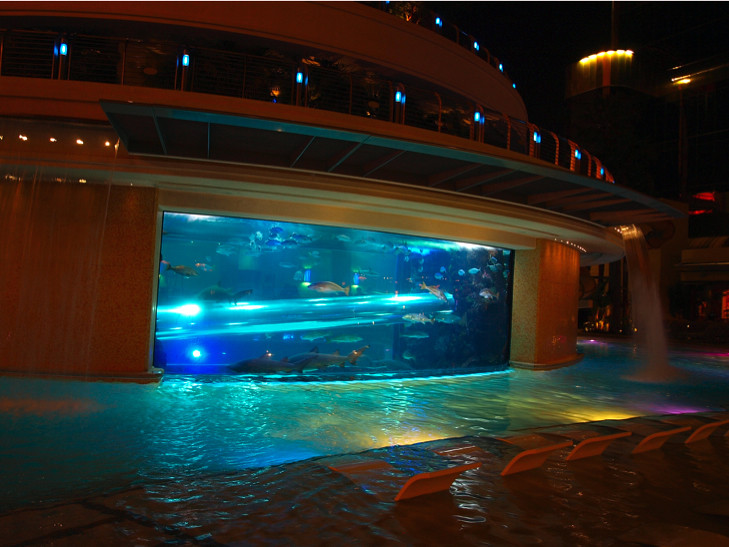 Golden Nugget Tank Pool Slide Past Sharks in Downtown Vegas