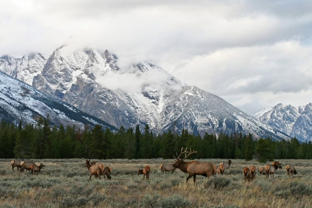 Grand Teton, Jackson Hole, Wyoming