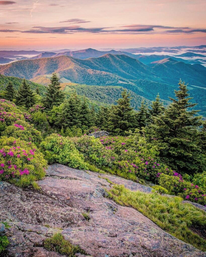 Grassy Ridge Bald