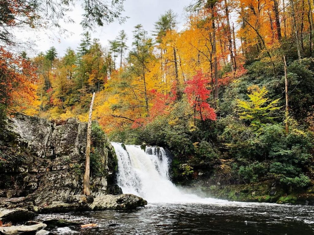 Great Smoky Mountains National Park
