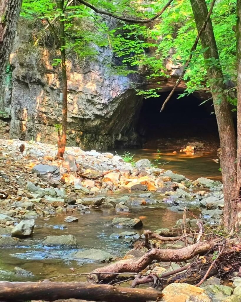 Hall’s Creek Canyon