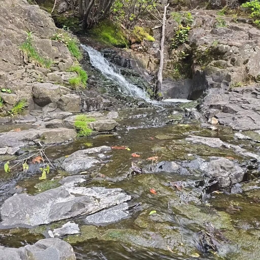 Hemlock Falls