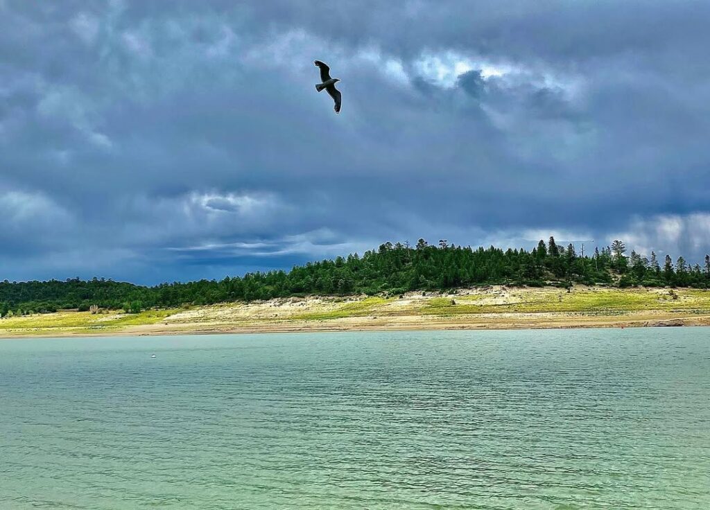 Heron Lake