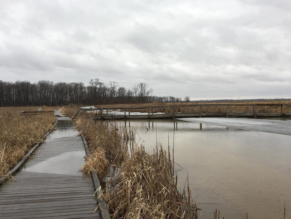 Horicon Marsh Education and Visitor Center