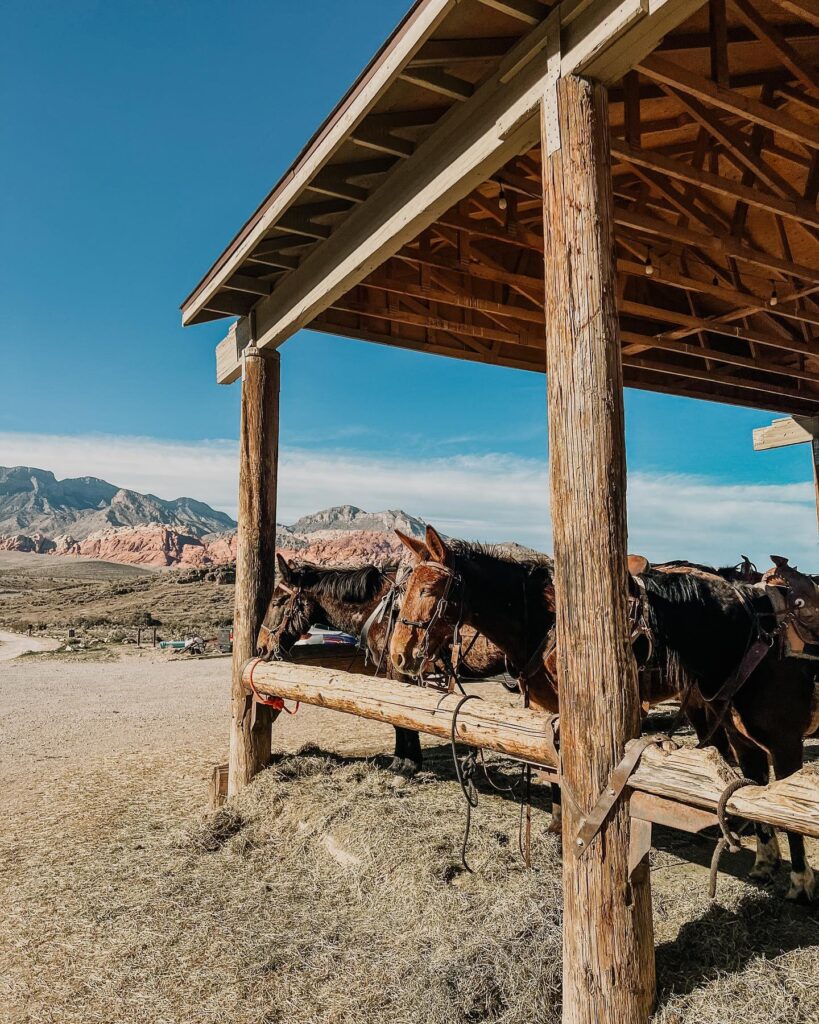 Horseback Riding Tour: A Wild West Date Beyond the Las Vegas Strip