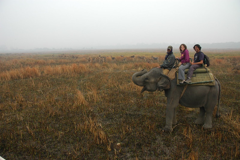 India Tiger Reserves and Diverse Ecosystems