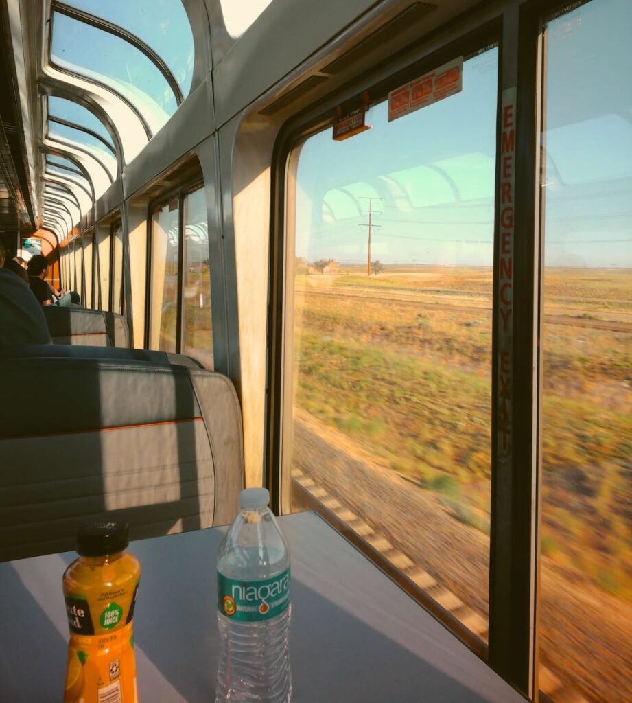 Inside the Train
