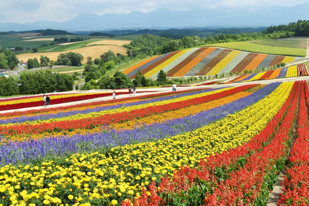 Japan Hokkaido Wilderness, Yakushima Forests, and Quiet Mountain Escapes