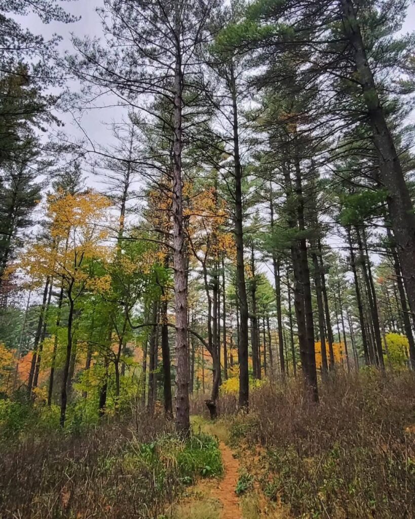 Kettle Moraine State Forest