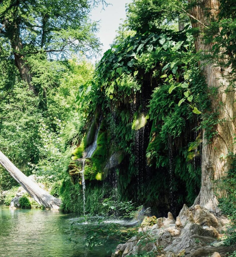 Krause Springs