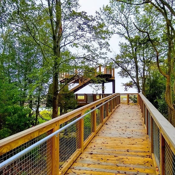 Little Creek Wildlife Area