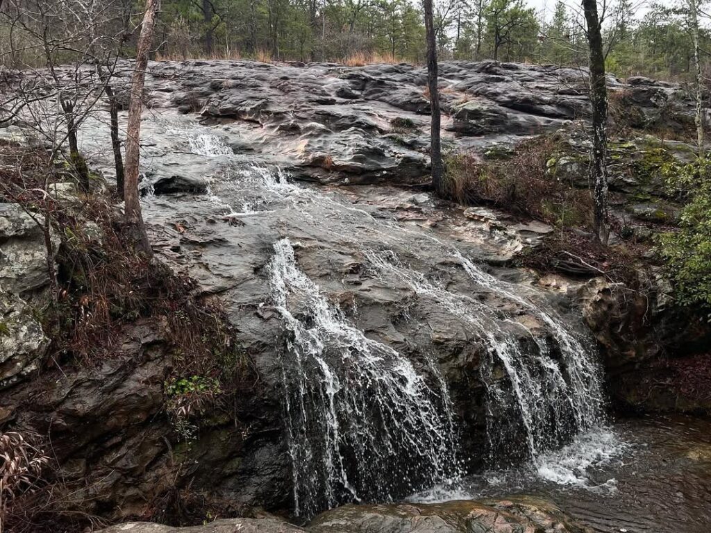 Moss Rock Preserve