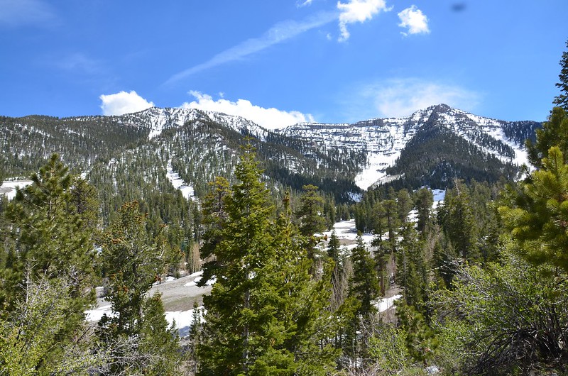 Mount Charleston: A Cool Mountain Escape Near Las Vegas