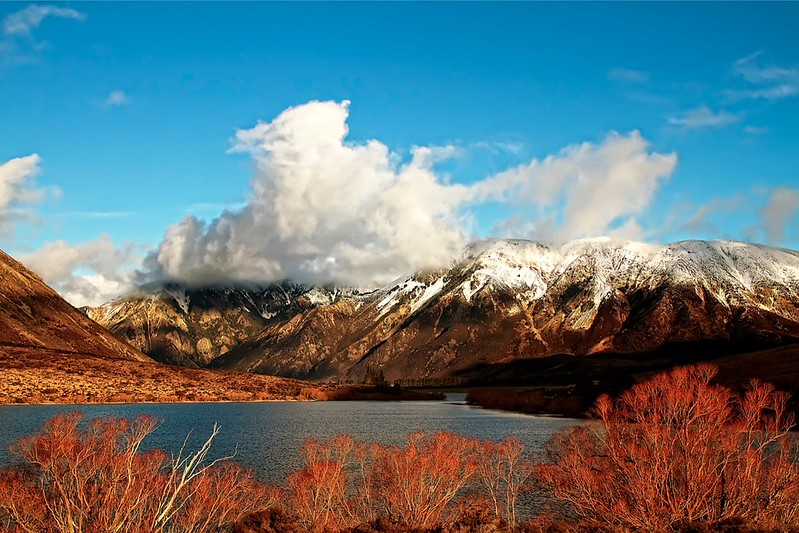 New Zealand’s South Island Alpine Lakes, Fjords, and Emotional Trail Moments