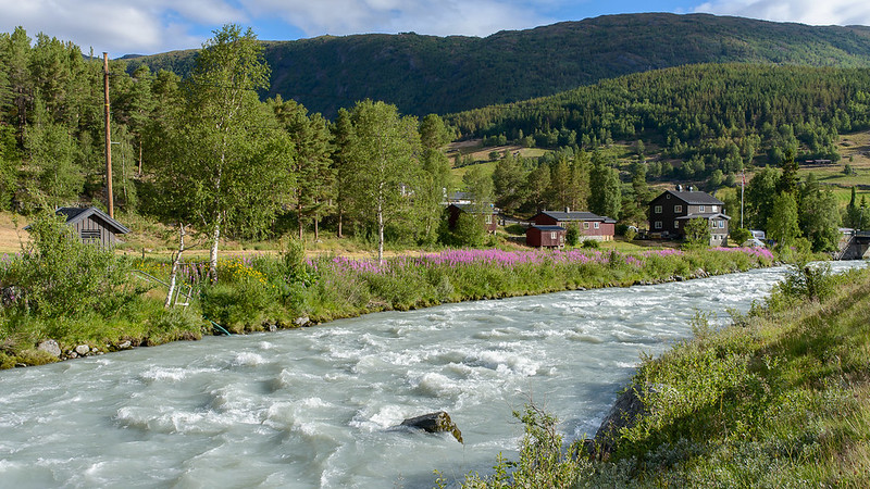 Norway Fjords, Fresh Air, and Scenic Nordic Hiking