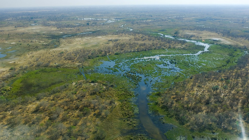 Okavango Delta, Botswana