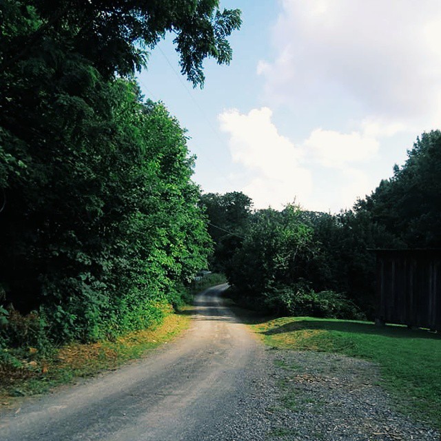Panther State Forest