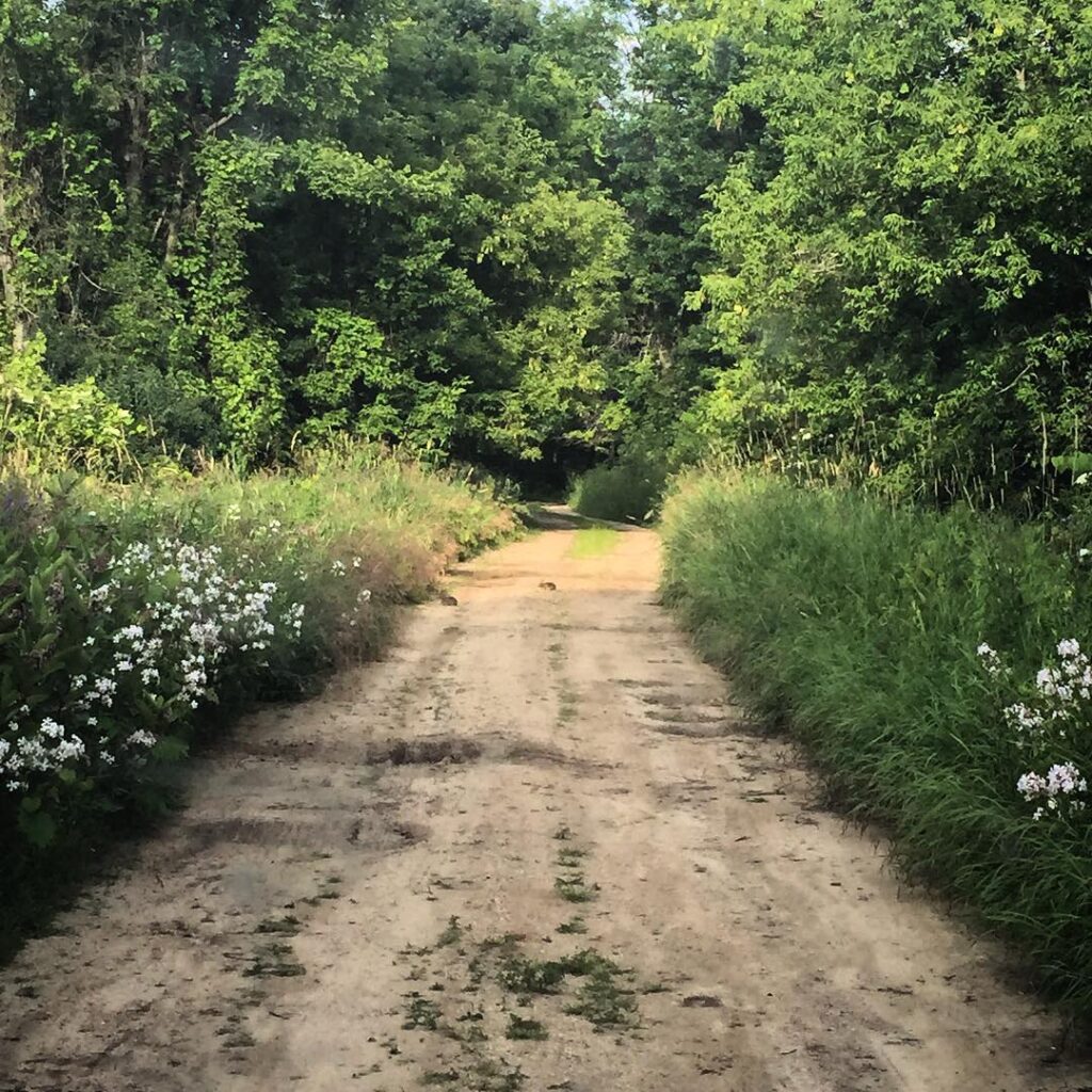 Paradise Marsh State Wildlife Area