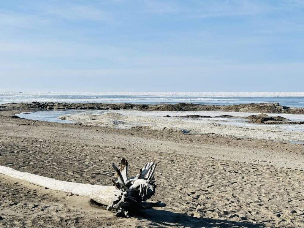 Presque Isle State Park