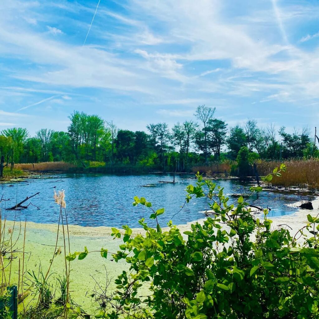 Prime Hook National Wildlife Refuge