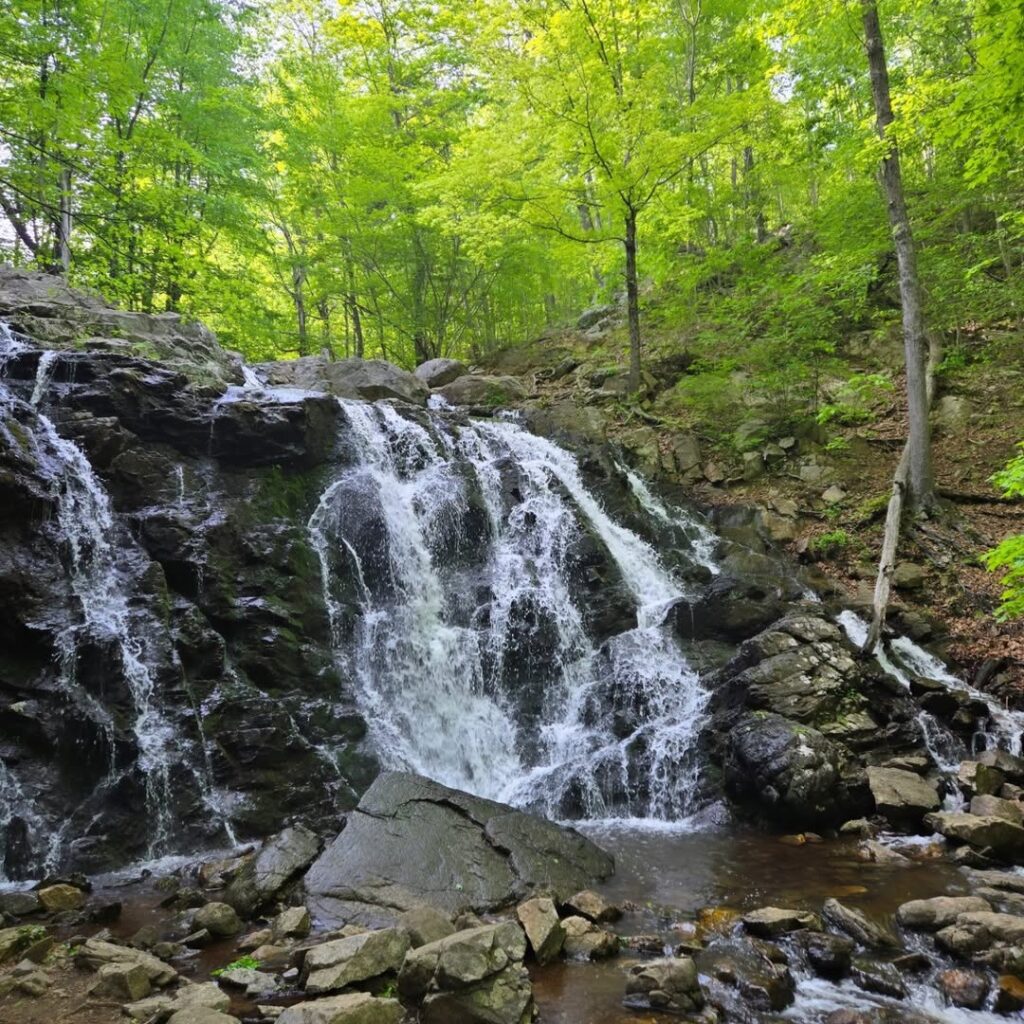 Ramapo Falls