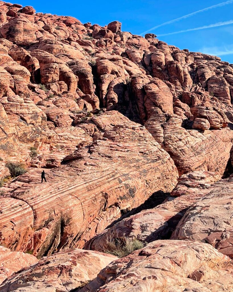 Red Rock Canyon Desert Adventure Near Las Vegas