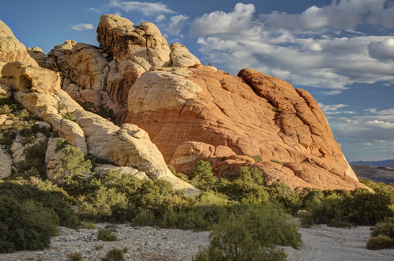 Red Rock Canyon National Conservation Area: A Quick Desert Escape From Las Vegas