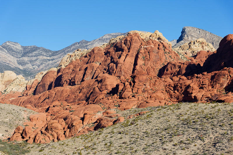 Red Rock Canyon Sandstone, Silence, and a Fast Escape From the Strip