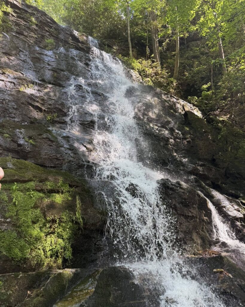 Reedy Branch Falls