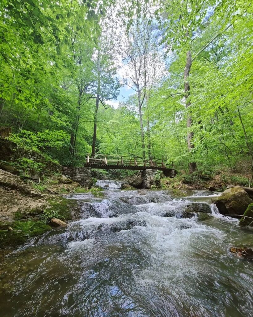 Roaring Run