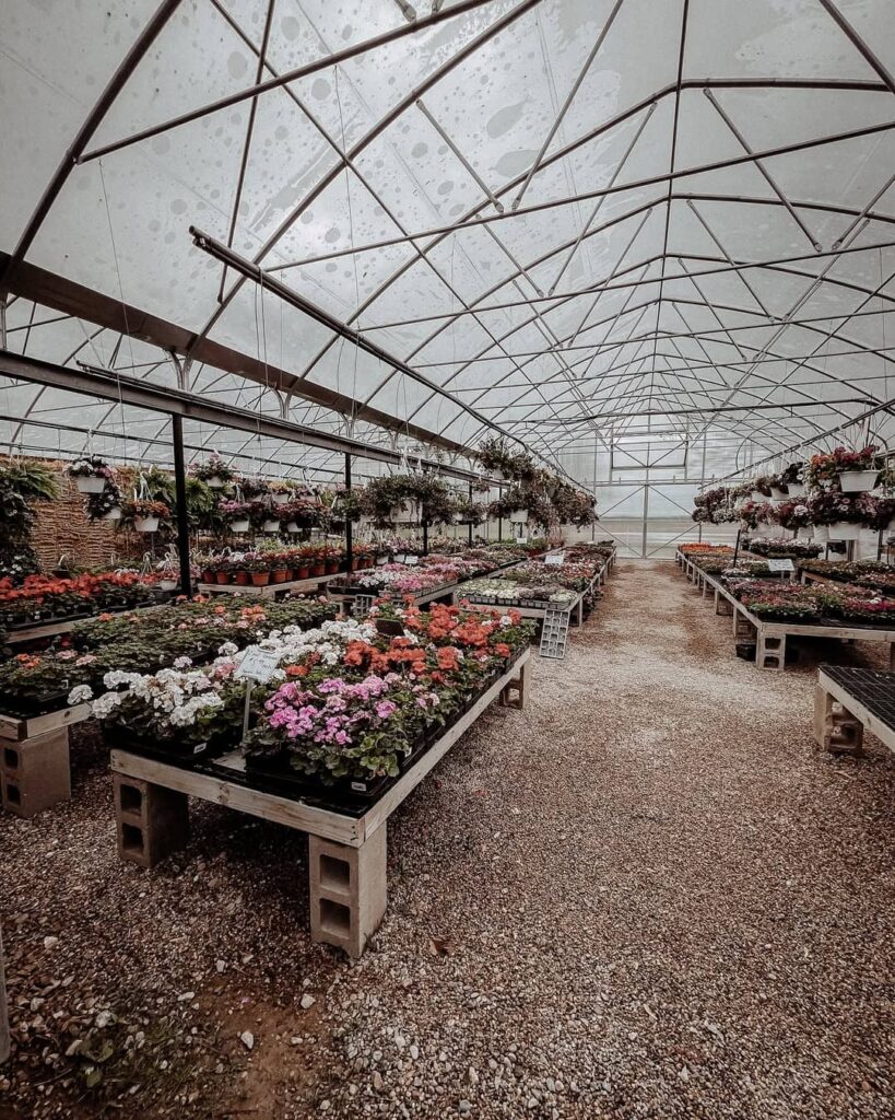 Rosebush Farm Market