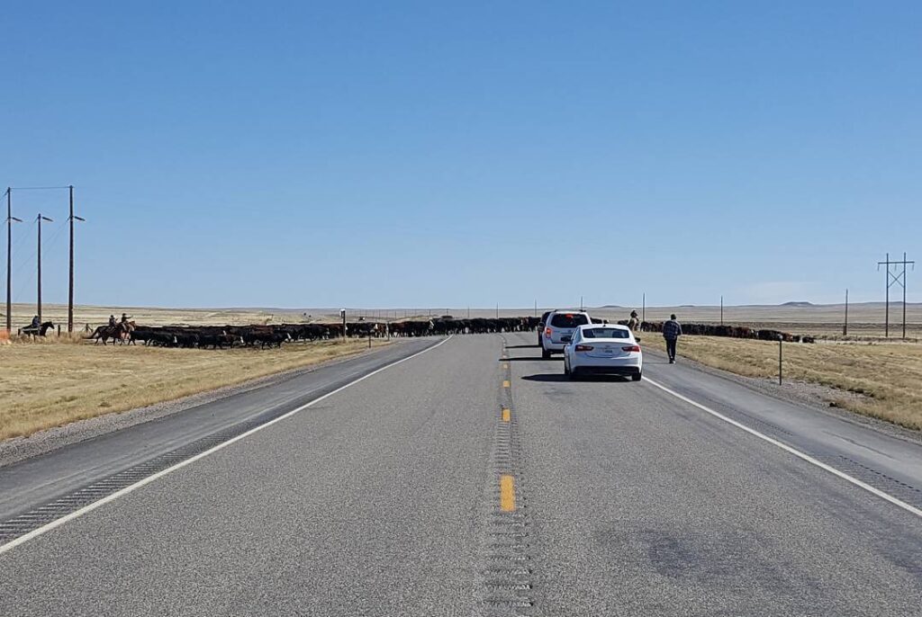 Shoshoni, Wyoming