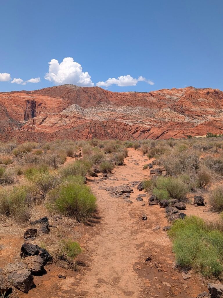 Snow Canyon State Park: Red Cliffs, Lava Flows, and Utah Desert Trails