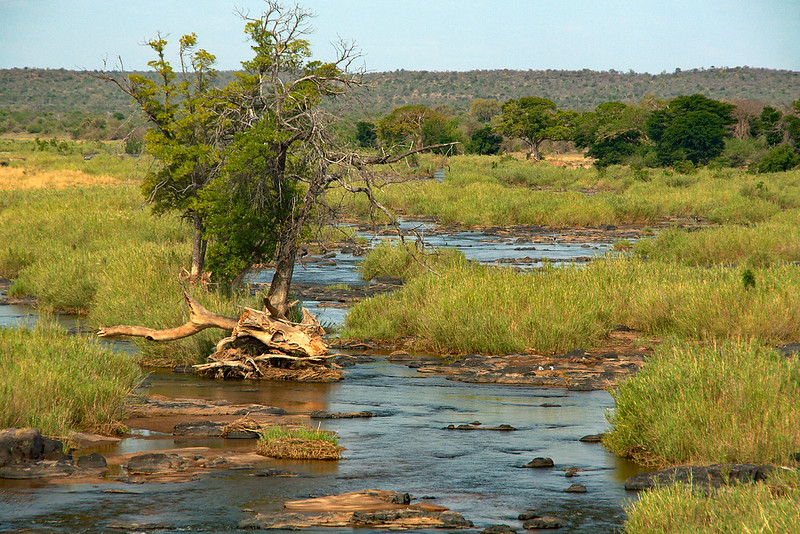South Africa, Kruger and Beyond