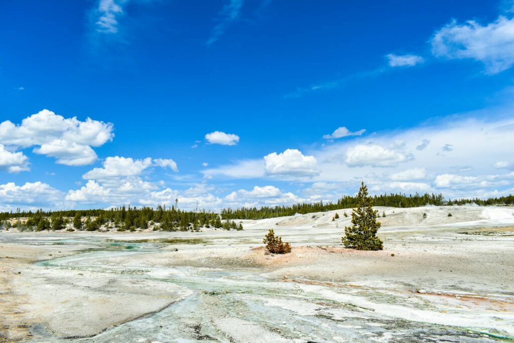 Spring in Yellowstone
