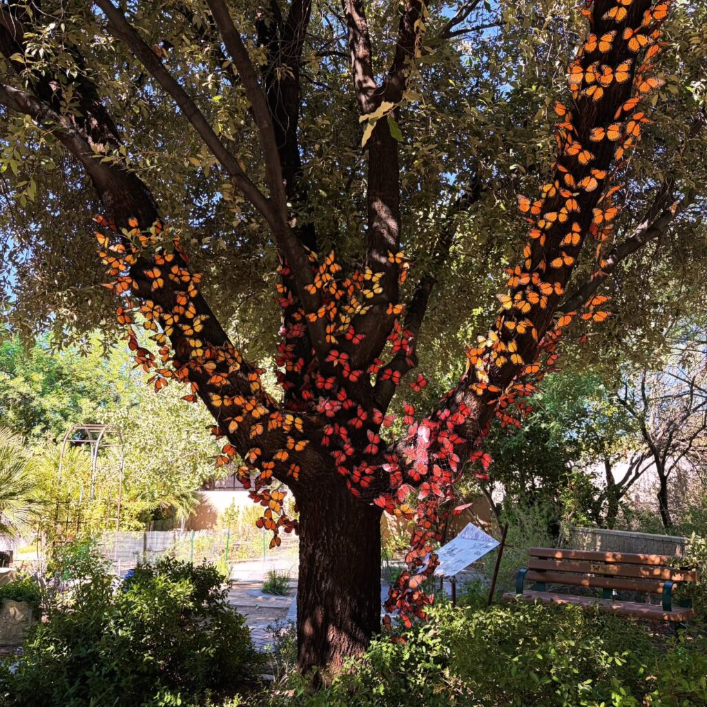 Springs Preserve: Enjoy Gardens, Trails, and a Softer Side of Las Vegas