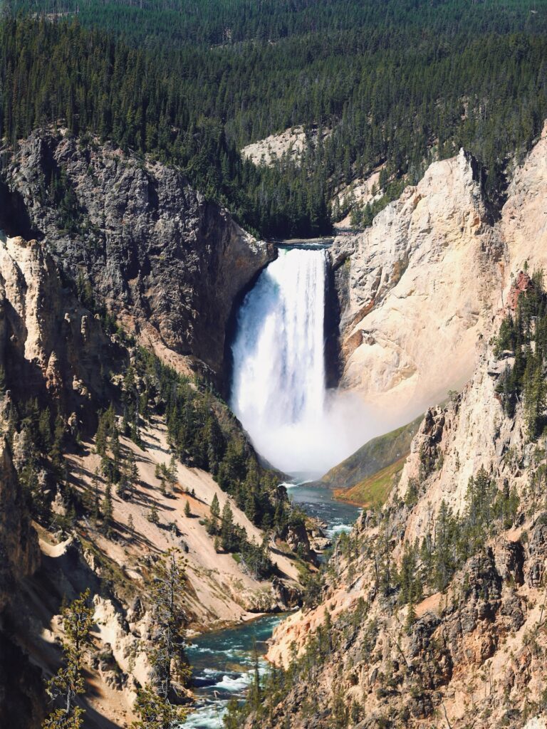 Summer in Yellowstone