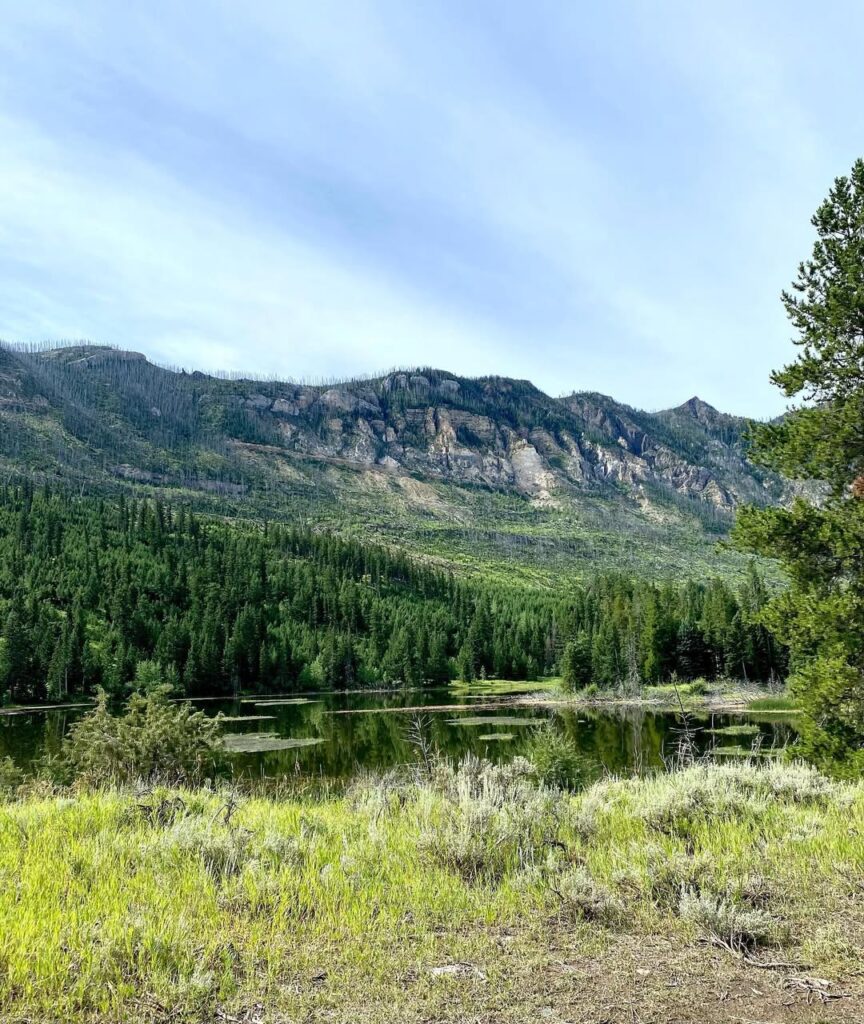 Sunlight Basin