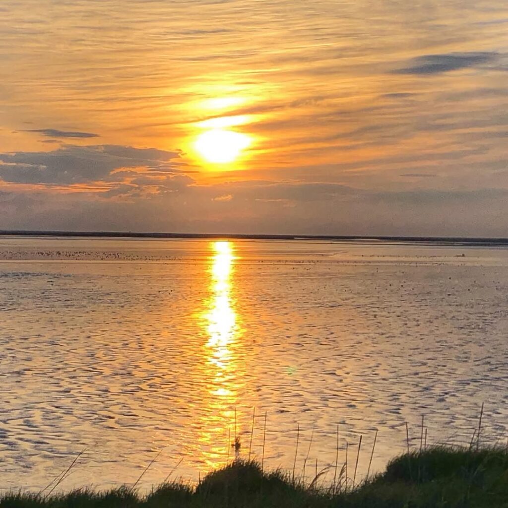 Sunrise at Bombay Hook National Wildlife Refuge