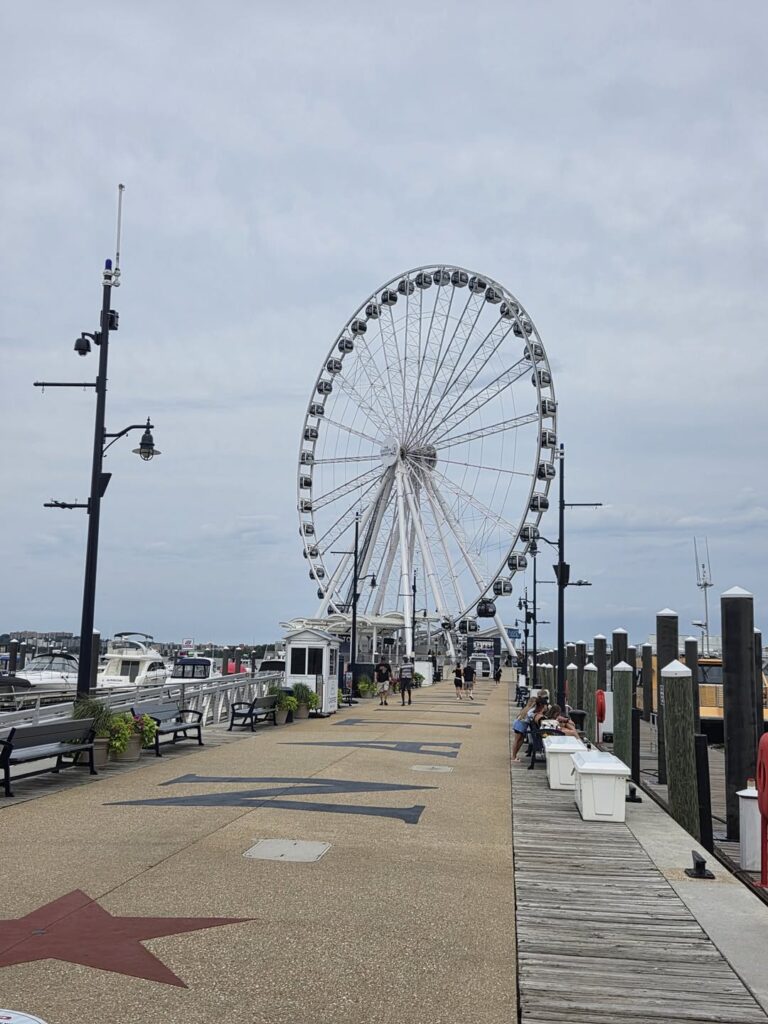 The Capital Wheel