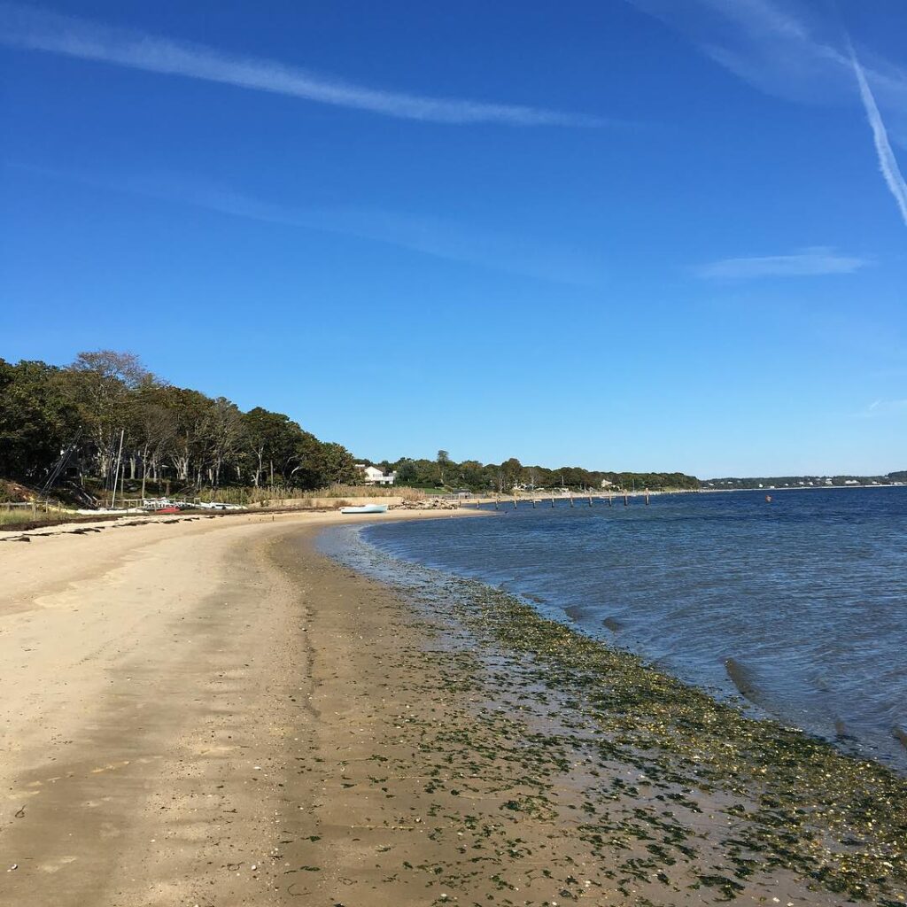 The Hamptons