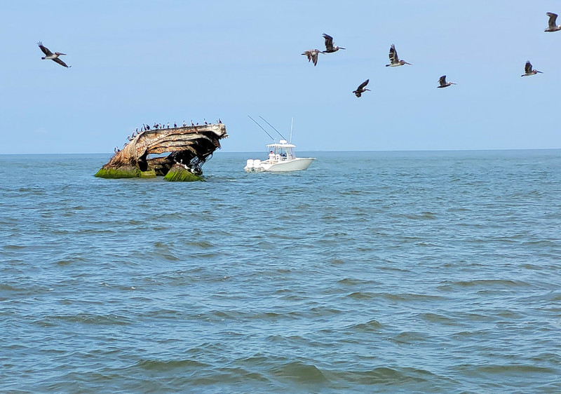 The New Jersey’s Most Mysterious Hidden Attraction That People Can’t Get Enough Of