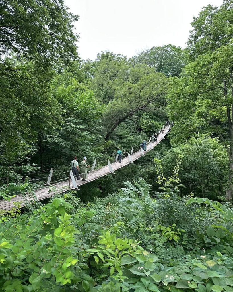 The Swinging Bridge