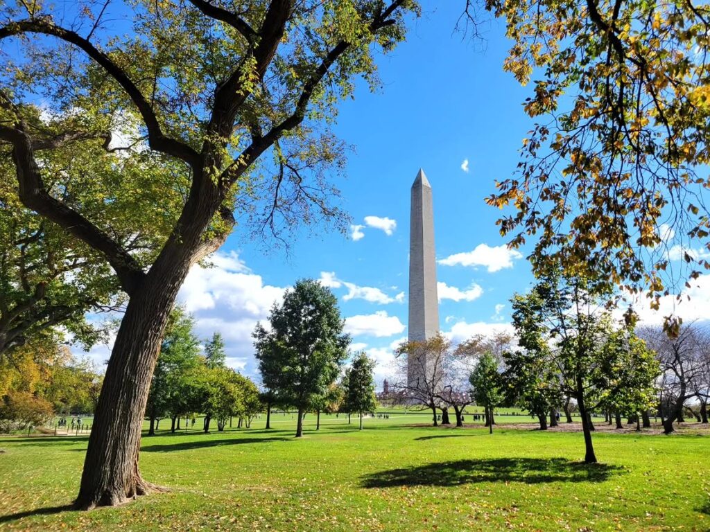 The Washington Monument