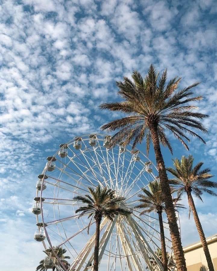 The Wharf Ferris Wheel, Alabama