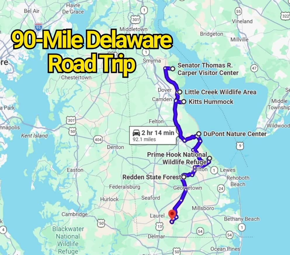 This 90-Mile Delaware Road Trip Map Leads to the Most Scenic Spots You Can Visit Any Time of Year